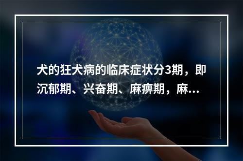 犬的狂犬病的临床症状分3期，即沉郁期、兴奋期、麻痹期，麻痹