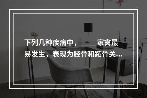 下列几种疾病中，____家禽最易发生，表现为胫骨和跖骨关节