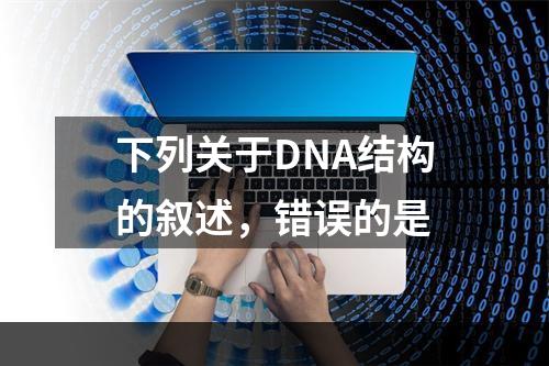 下列关于DNA结构的叙述，错误的是