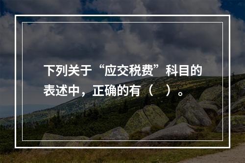 下列关于“应交税费”科目的表述中，正确的有（　）。