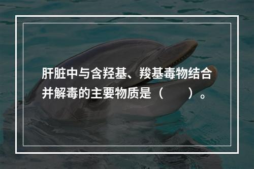 肝脏中与含羟基、羧基毒物结合并解毒的主要物质是（　　）。