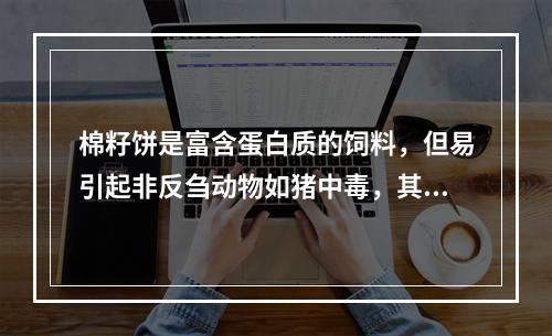 棉籽饼是富含蛋白质的饲料，但易引起非反刍动物如猪中毒，其中