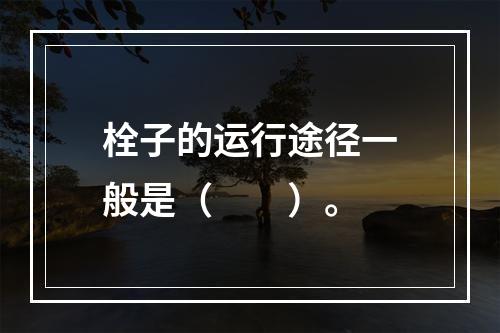 栓子的运行途径一般是（　　）。