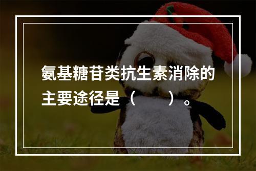 氨基糖苷类抗生素消除的主要途径是（　　）。