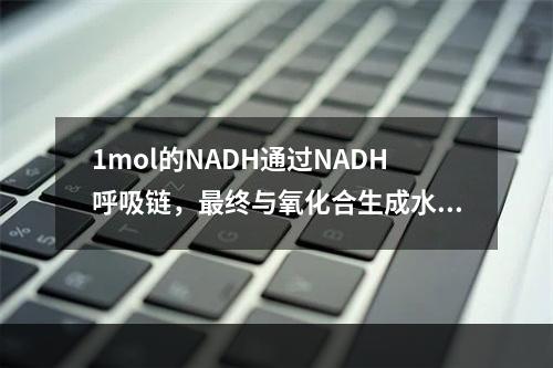 1mol的NADH通过NADH呼吸链，最终与氧化合生成水，产