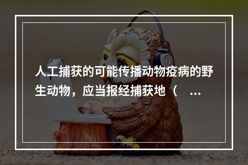 人工捕获的可能传播动物疫病的野生动物，应当报经捕获地（　　）