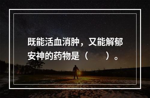 既能活血消肿，又能解郁安神的药物是（　　）。