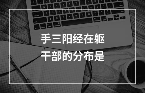 手三阳经在躯干部的分布是