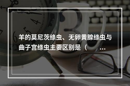 羊的莫尼茨绦虫、无卵黄腺绦虫与曲子宫绦虫主要区别是（　　）