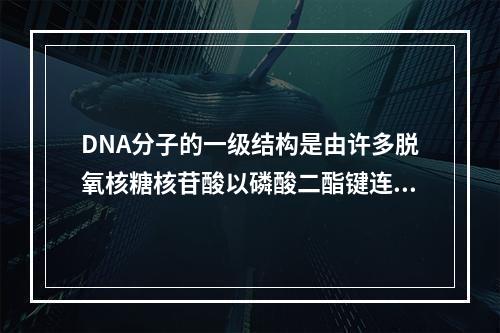 DNA分子的一级结构是由许多脱氧核糖核苷酸以磷酸二酯键连接起