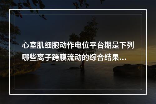 心室肌细胞动作电位平台期是下列哪些离子跨膜流动的综合结果（