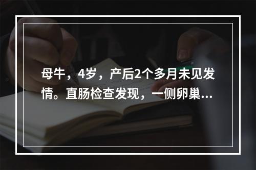 母牛，4岁，产后2个多月未见发情。直肠检查发现，一侧卵巢比对