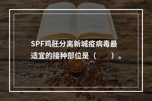 SPF鸡胚分离新城疫病毒最适宜的接种部位是（　　）。