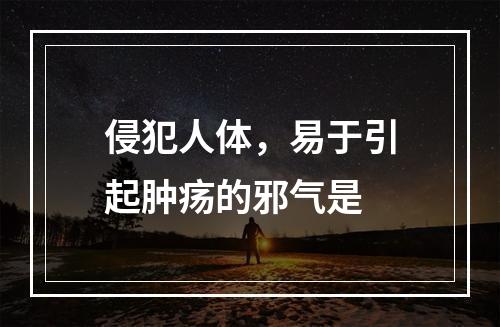 侵犯人体，易于引起肿疡的邪气是