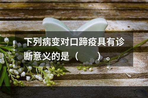 下列病变对口蹄疫具有诊断意义的是（　　）。