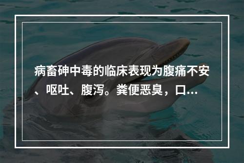 病畜砷中毒的临床表现为腹痛不安、呕吐、腹泻。粪便恶臭，口腔