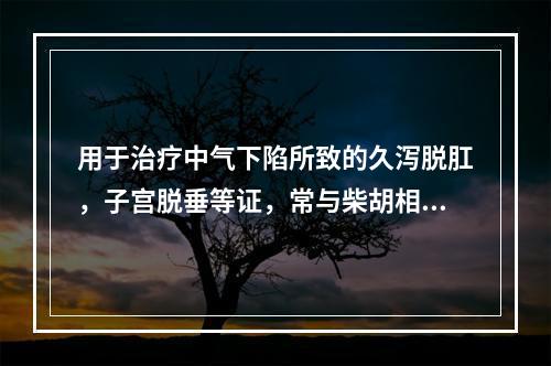 用于治疗中气下陷所致的久泻脱肛，子宫脱垂等证，常与柴胡相须