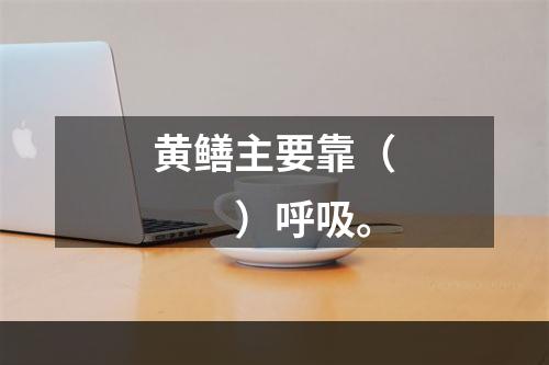 黄鳝主要靠（　　）呼吸。