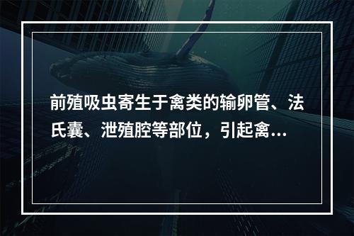 前殖吸虫寄生于禽类的输卵管、法氏囊、泄殖腔等部位，引起禽类