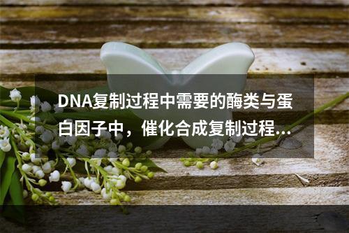 DNA复制过程中需要的酶类与蛋白因子中，催化合成复制过程中所