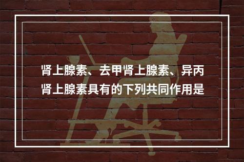 肾上腺素、去甲肾上腺素、异丙肾上腺素具有的下列共同作用是