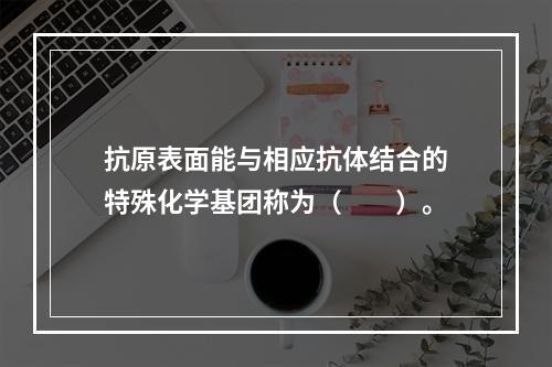 抗原表面能与相应抗体结合的特殊化学基团称为（　　）。