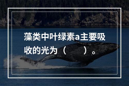 藻类中叶绿素a主要吸收的光为（　　）。