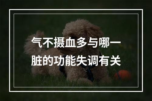 气不摄血多与哪一脏的功能失调有关