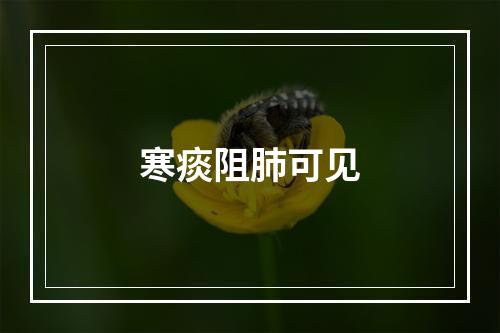 寒痰阻肺可见