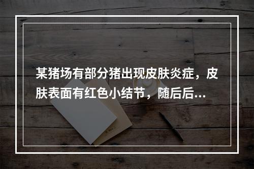 某猪场有部分猪出现皮肤炎症，皮肤表面有红色小结节，随后后肢