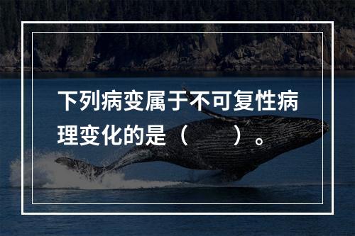 下列病变属于不可复性病理变化的是（　　）。