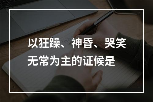 以狂躁、神昏、哭笑无常为主的证候是