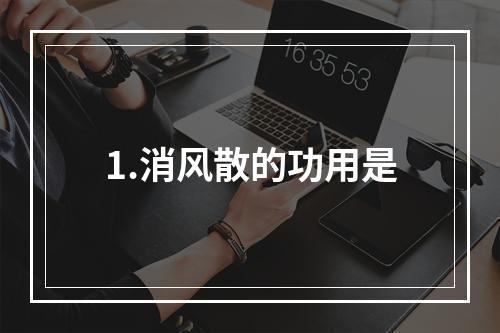 1.消风散的功用是