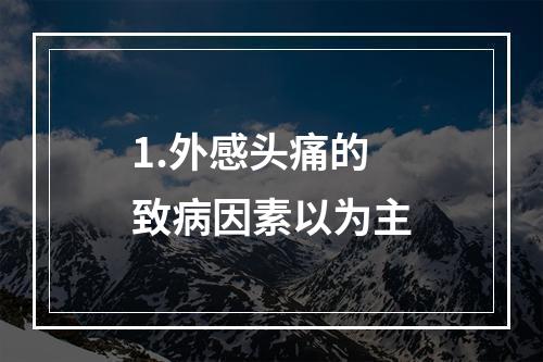 1.外感头痛的致病因素以为主