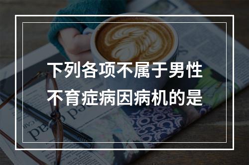 下列各项不属于男性不育症病因病机的是