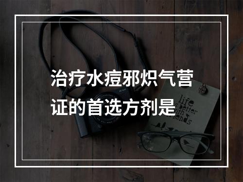 治疗水痘邪炽气营证的首选方剂是