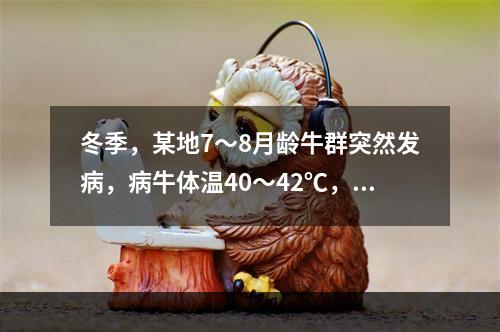 冬季，某地7～8月龄牛群突然发病，病牛体温40～42℃，眼鼻