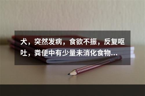 犬，突然发病，食欲不振，反复呕吐，粪便中有少量未消化食物，色