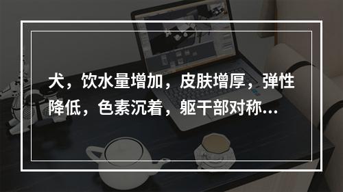 犬，饮水量增加，皮肤增厚，弹性降低，色素沉着，躯干部对称性