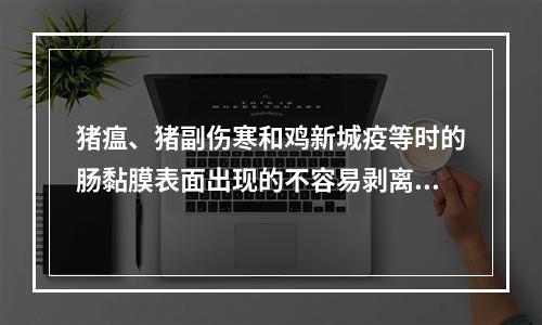 猪瘟、猪副伤寒和鸡新城疫等时的肠黏膜表面出现的不容易剥离的