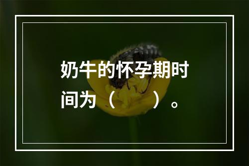 奶牛的怀孕期时间为（　　）。