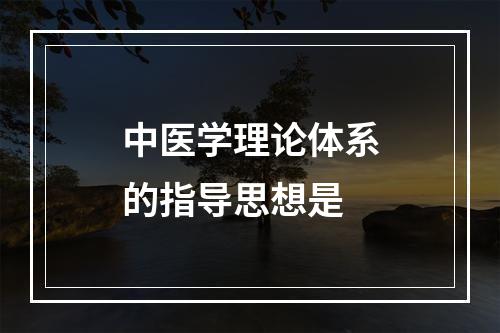 中医学理论体系的指导思想是