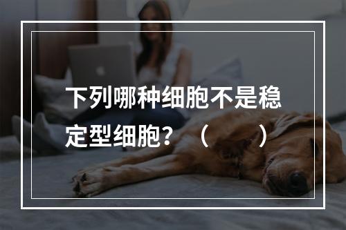 下列哪种细胞不是稳定型细胞？（　　）