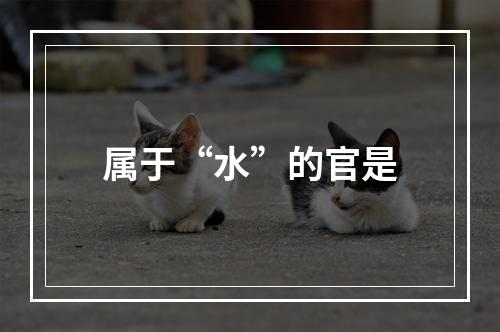 属于“水”的官是