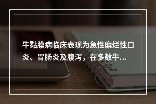 牛黏膜病临床表现为急性糜烂性口炎、胃肠炎及腹泻，在多数牛群