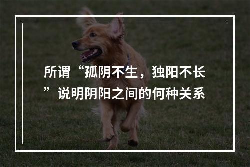 所谓“孤阴不生，独阳不长”说明阴阳之间的何种关系