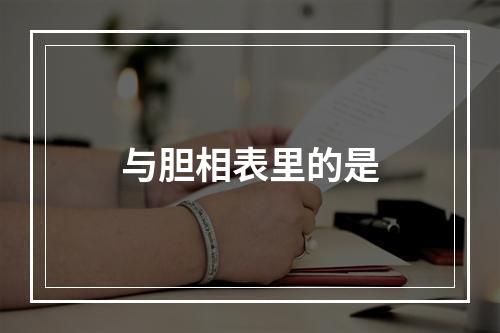 与胆相表里的是