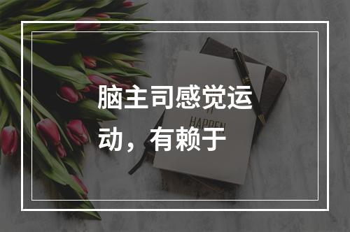 脑主司感觉运动，有赖于