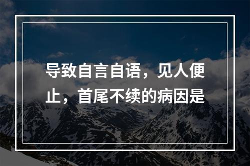 导致自言自语，见人便止，首尾不续的病因是