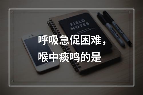 呼吸急促困难，喉中痰鸣的是